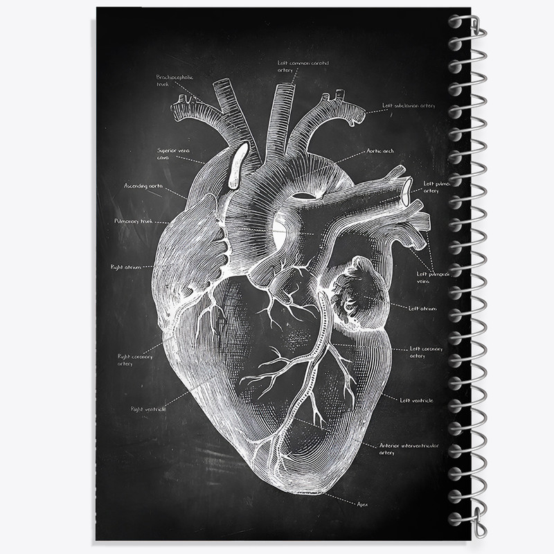 دفتر مشق 100 برگ خندالو طرح آناتومی قلب (Heart Anatomy) کد F13957