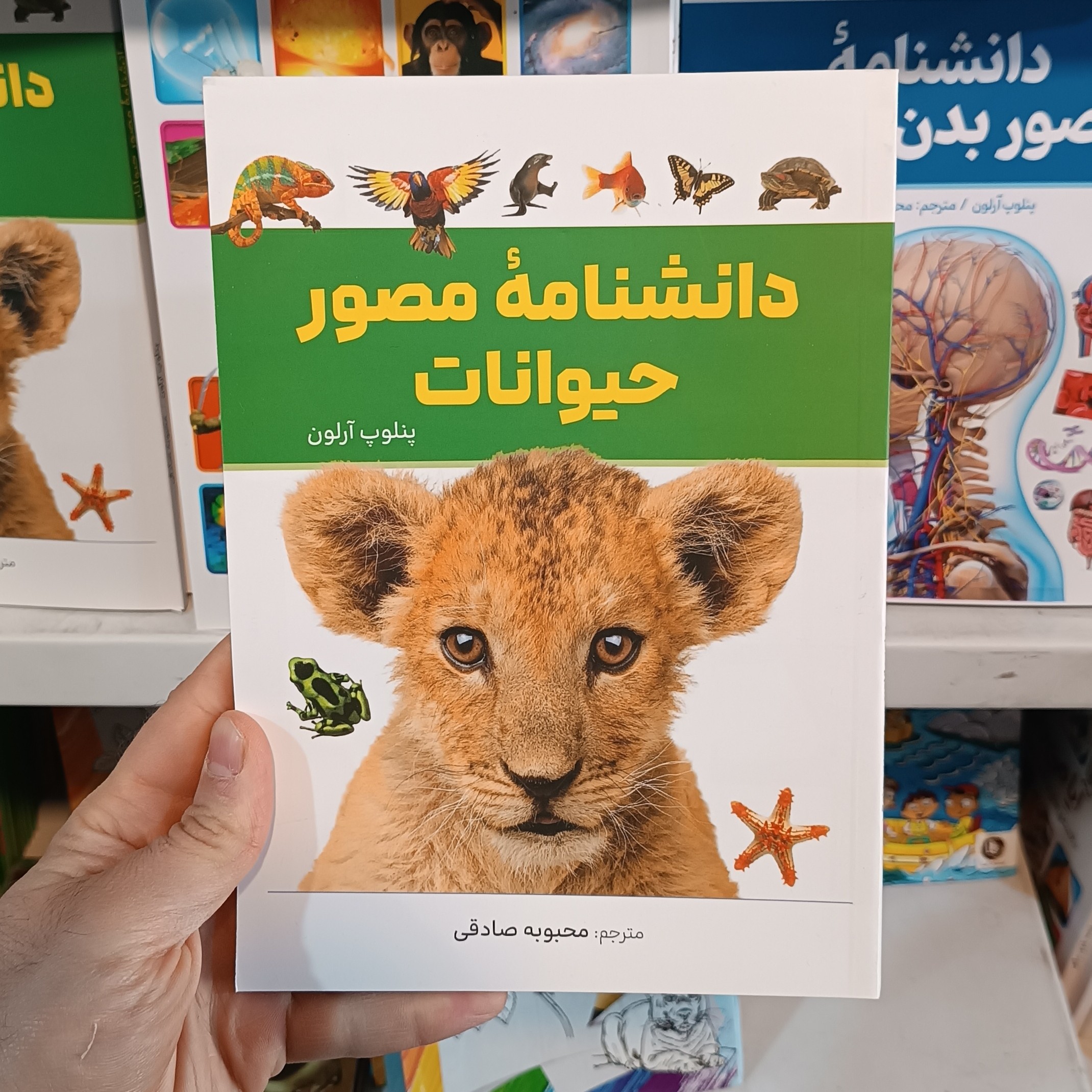 کتاب دانشنامه مصور حیوانات اثر پنلوپ آرلون مترجم محبوبه صادقی انتشارات آذربیان