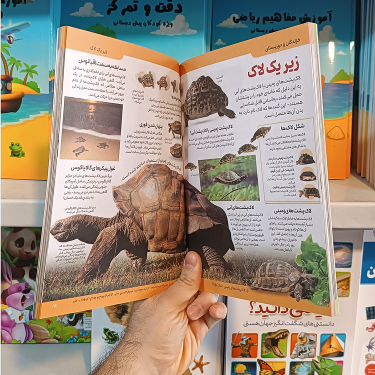 کتاب دانشنامه مصور حیوانات اثر پنلوپ آرلون مترجم محبوبه صادقی انتشارات آذربیان