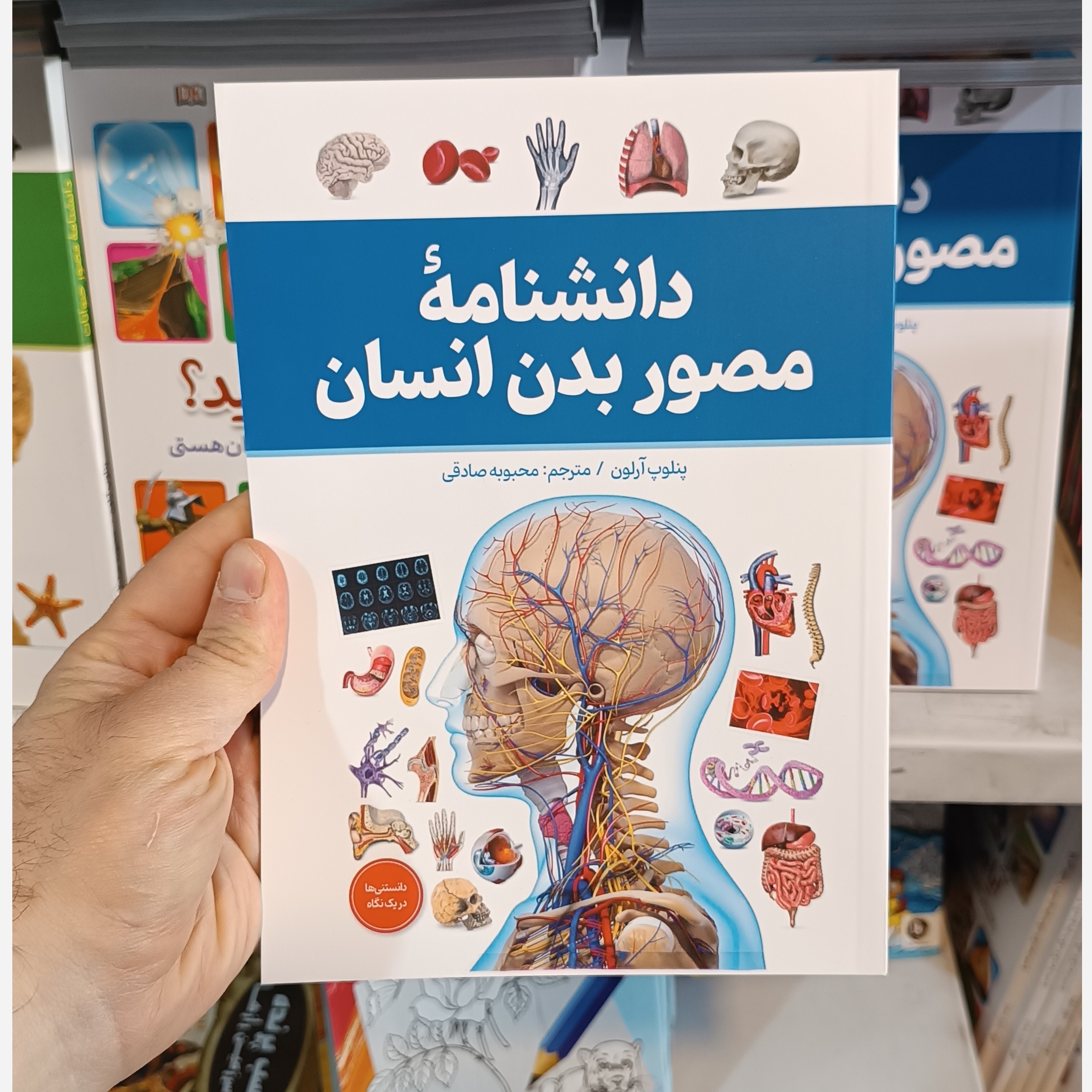کتاب دانشنامه مصور بدن انسان اثر پنلوپ آرلون مترجم محبوبه صادقی انتشارات آذربیان