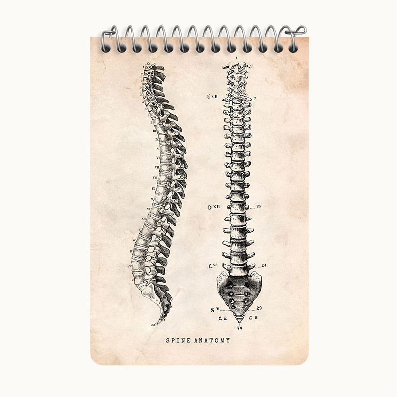 دفتر یادداشت 50 برگ خندالو طرح آناتومی ستون فقرات (Spine Anatomy) کد F13955