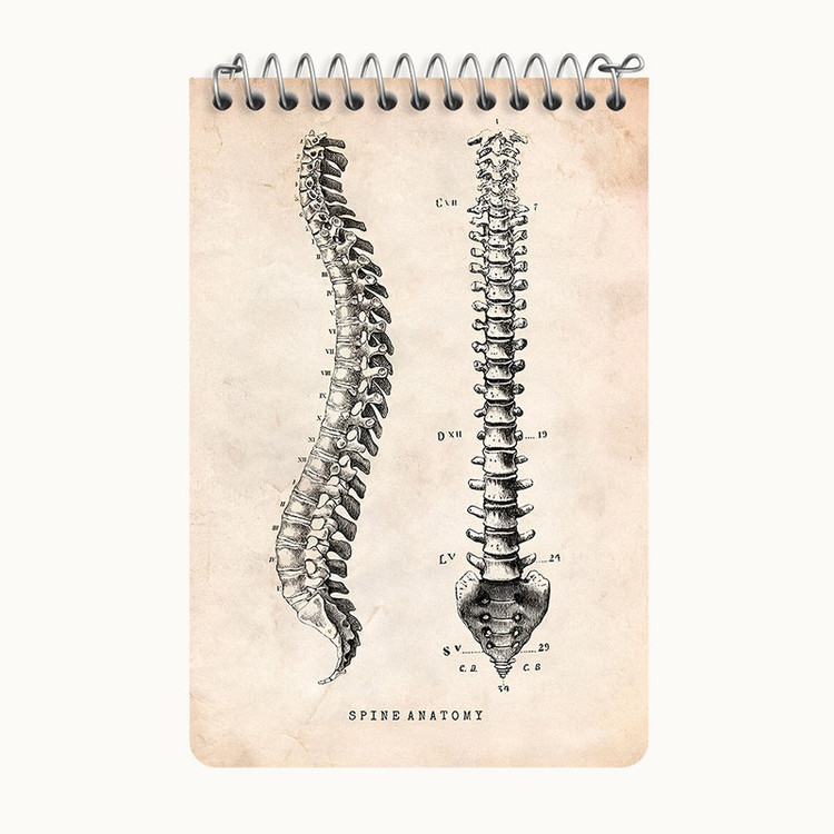دفتر یادداشت 50 برگ خندالو طرح آناتومی ستون فقرات (Spine Anatomy) کد F13955