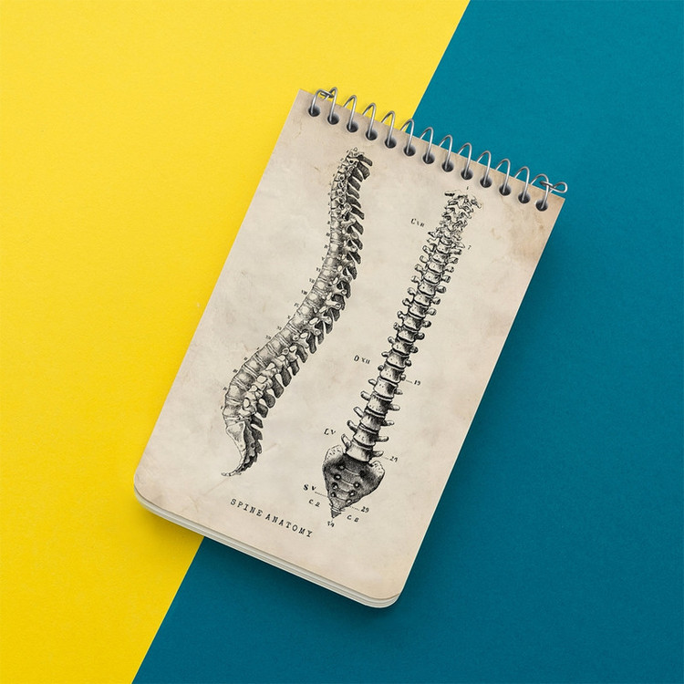 دفتر یادداشت 50 برگ خندالو طرح آناتومی ستون فقرات (Spine Anatomy) کد F13955