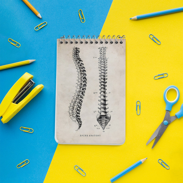 دفتر یادداشت 50 برگ خندالو طرح آناتومی ستون فقرات (Spine Anatomy) کد F13955