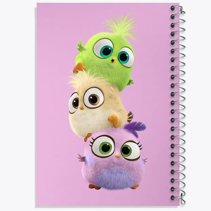 دفتر نقاشی 50 برگ خندالو مدل پرندگان خشمگین Angry Birds کد 13857