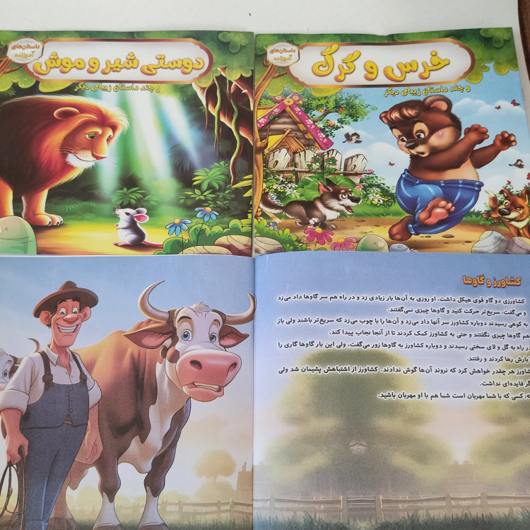 کتاب داستان درجه یک جلد گلاسه(مناسب جوایز مدرسه)