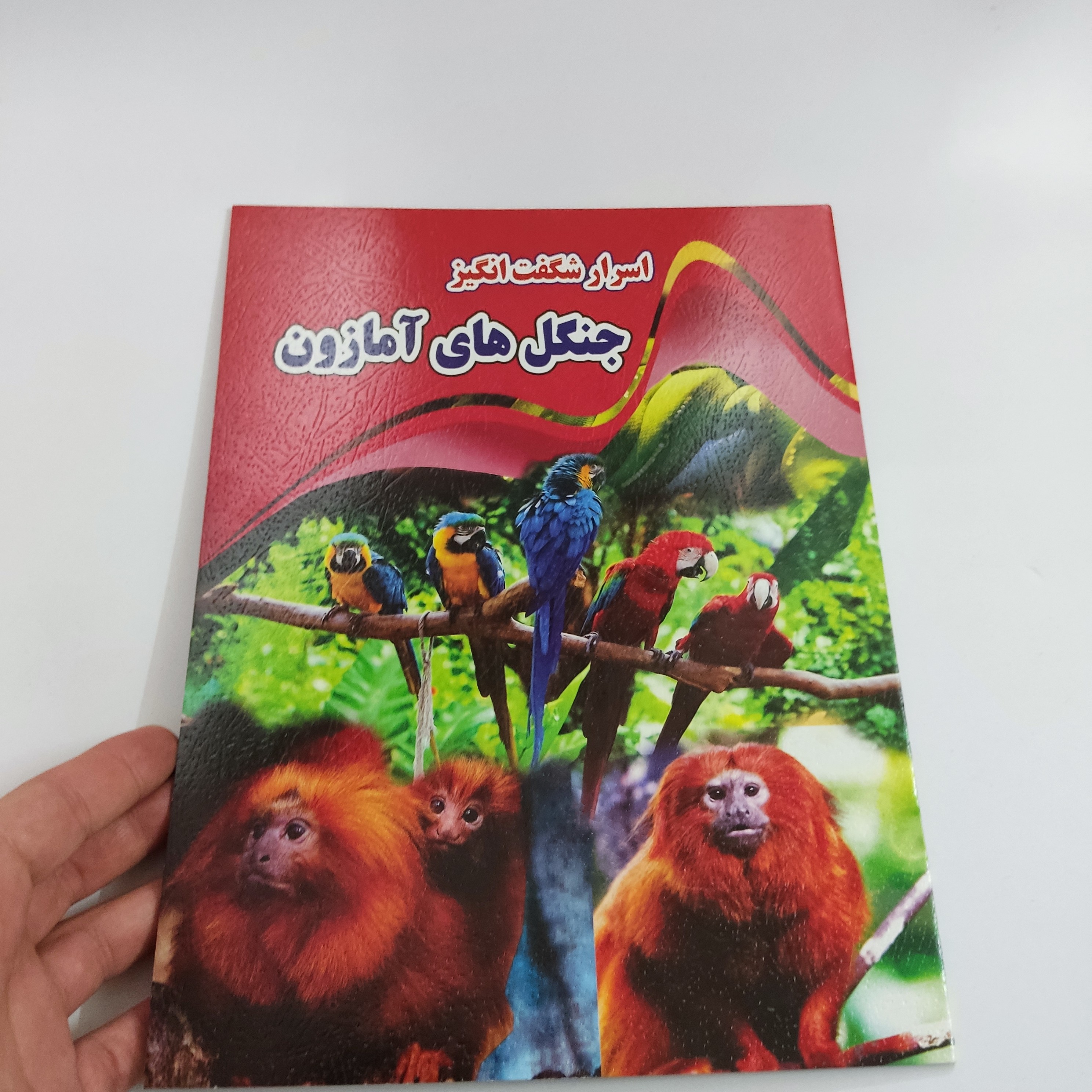 کتاب اسرار شگفت انگیز جنگل های آمازون