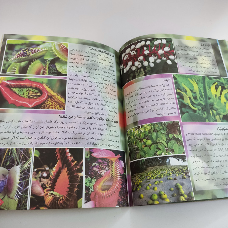 کتاب اسرار شگفت انگیز گیاهان