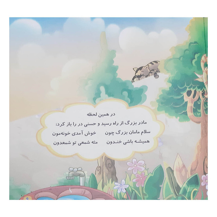 کتاب شعر و قصه کودکان مجموعه داستان های حسنی اثر مینا بخشی انتشارات بهدیس 3 جلدی