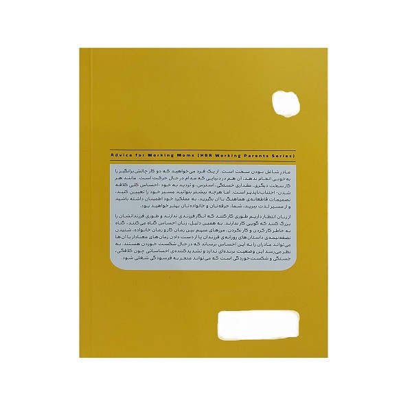 کتاب هم شاغل هم مادر مدیریت زندگی حرفه ای و شخصی اثر جمعی از نویسندگان ترجمه پریسا ابن یامینی نشر اژدهای طلایی