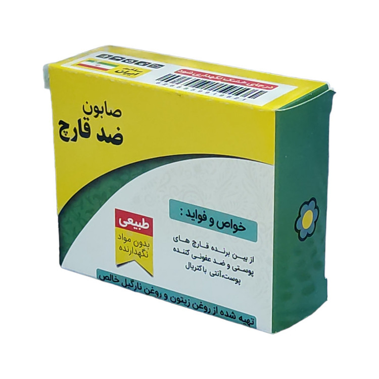صابون شستشو گیاهستان حکیم مدل ضد قارچ وزن 70 گرم