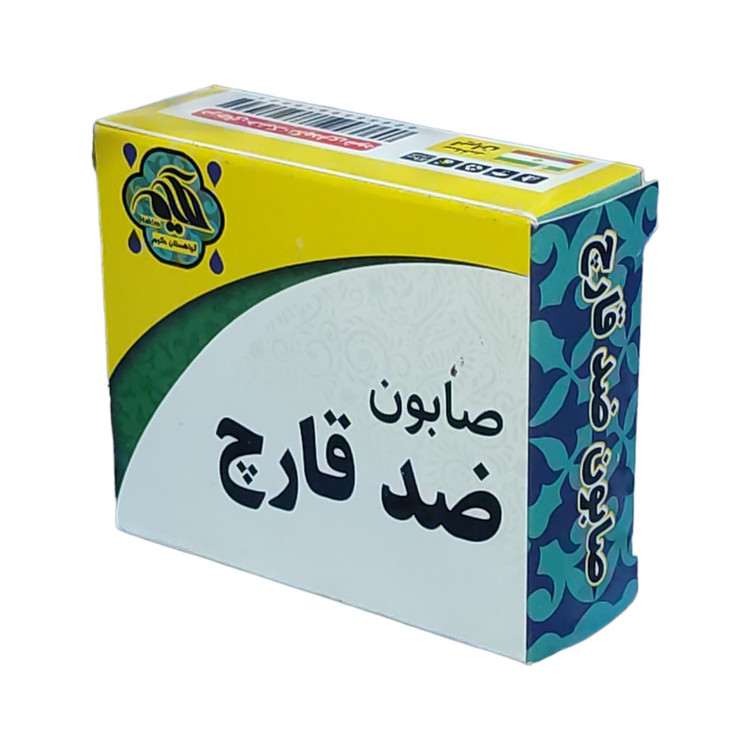 صابون شستشو گیاهستان حکیم مدل ضد قارچ وزن 70 گرم