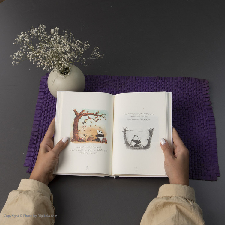 کتاب پاندای بزرگ و اژدهای کوچک اثر جیمز نوربری ترجمه نازنین فیروزی نشر میلکان مدل 1