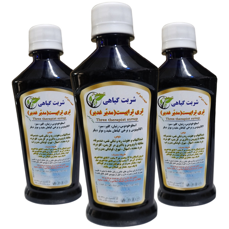 شربت مدبر غدیر جالینوس - 300 میلی لیتر بسته 3 عددی