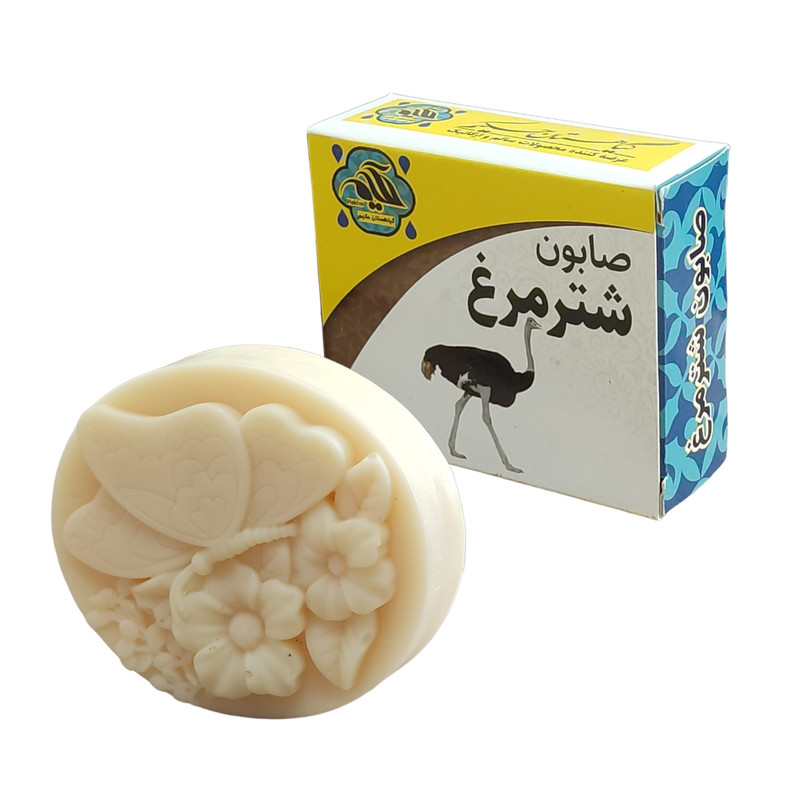 صابون شستشو  گیاهستان حکیم مدل شترمرغ وزن 70 گرم