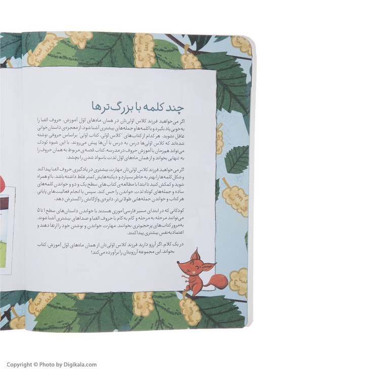 کتاب کلاس اولی کتاب اولی توت در سبد اثر معصومه یزدانی نشر افق