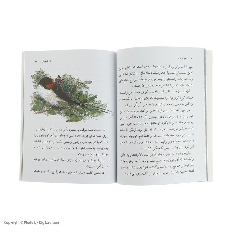 کتاب آدم کوچولوها اثر رولد دال نشر افق