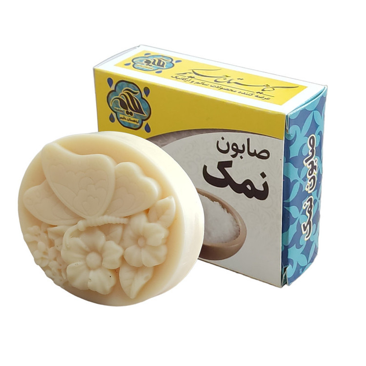 صابون شستشو گیاهستان حکیم مدل نمک وزن 70 گرم