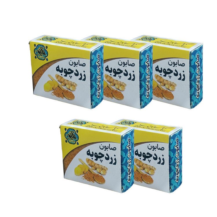صابون شستشو گیاهستان حکیم مدل زردچوبه وزن 70 گرم بسته پنج عددی