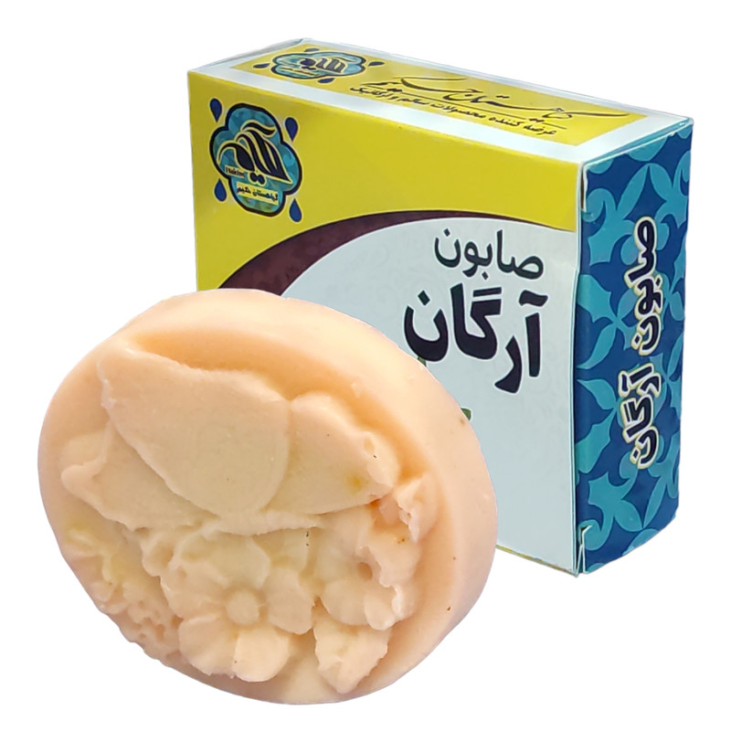 صابون شستشو گیاهستان حکیم مدل آرگان  وزن 70 گرم