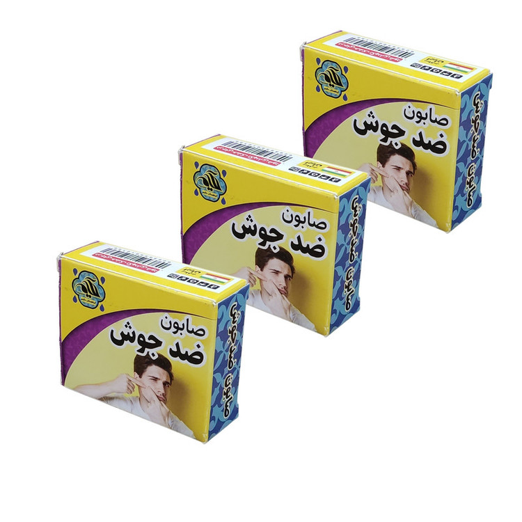 صابون شستشو گیاهستان حکیم مدل ضد جوش وزن 70 گرم بسته 3 عددی