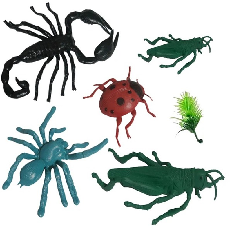 فیگور حشرات قوطی استوانه ای WORLD INSECT