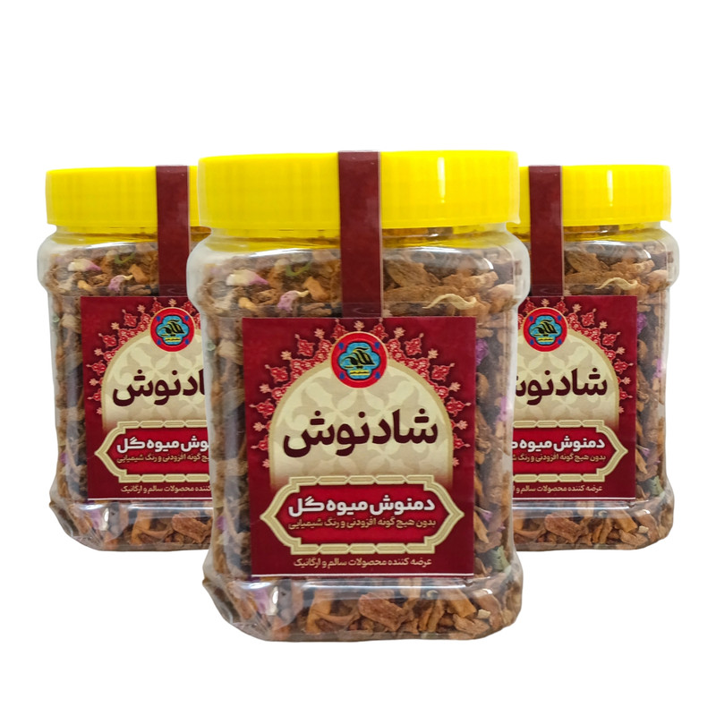 دمنوش میوه گل شادنوش - 250 گرم بسته 3 عددی