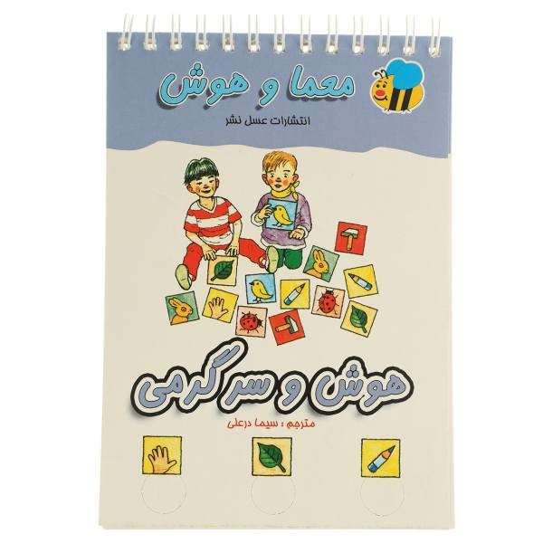 معما و هوش (هوش و سرگرمی)