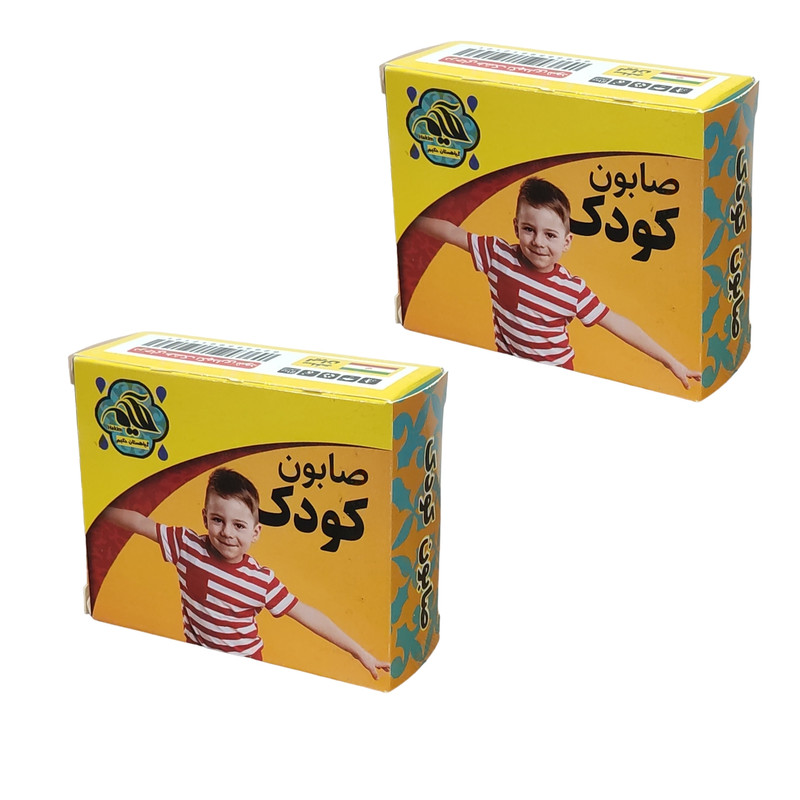 صابون کودک گیاهستان حکیم مدل روغن زیتون وزن 45 گرم بسته 2 عددی