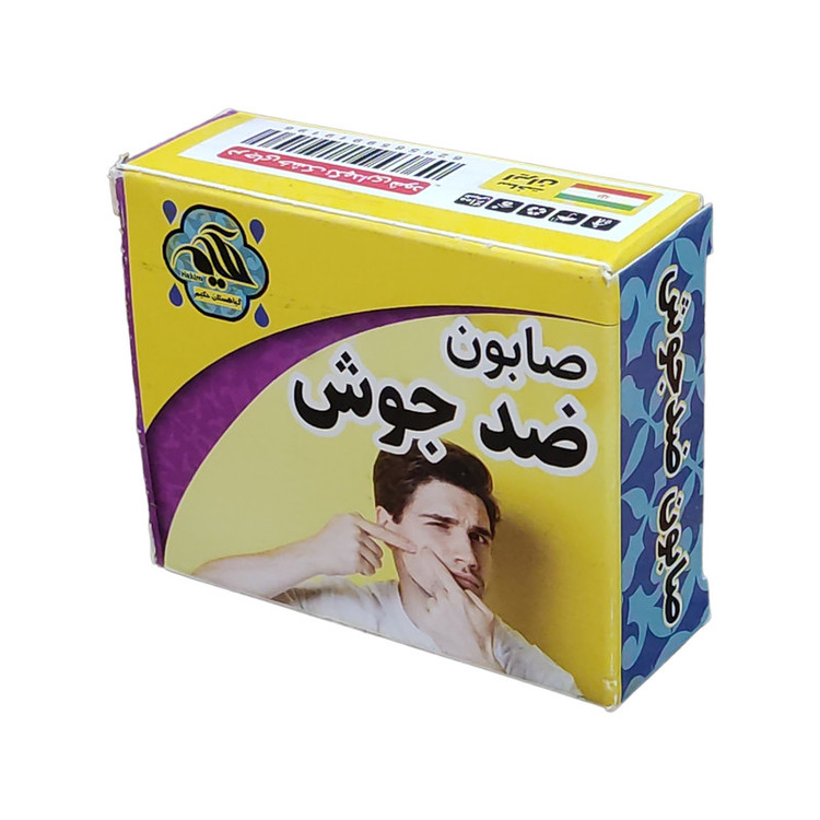 صابون شستشو گیاهستان حکیم مدل ضد جوش وزن 70 گرم بسته 2 عددی