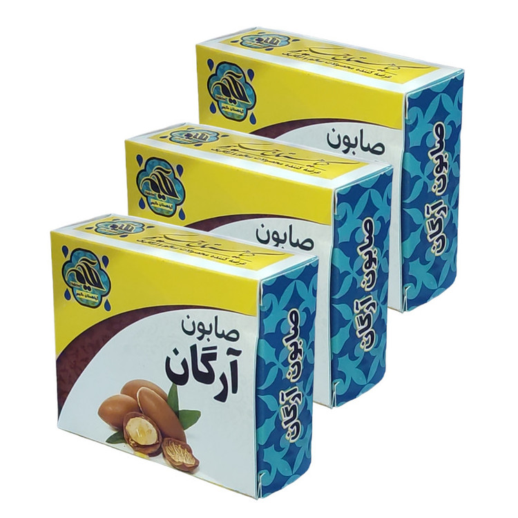 صابون شستشو گیاهستان حکیم مدل آرگان وزن 70 گرم بسته 3 عددی