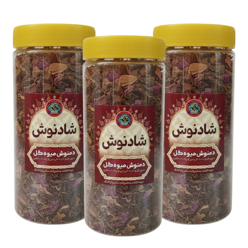 دمنوش میوه ای شادنوش - ۲۰۰ گرم بسته سه عددی