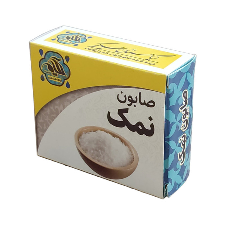 صابون شستشو گیاهستان حکیم مدل نمک وزن 70 گرم بسته 2 عددی