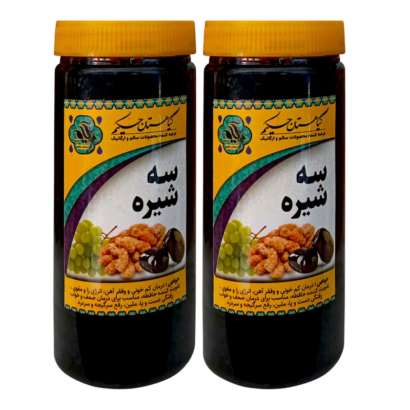 سه شیره طبیعی گیاهستان حکیم - 1 کیلوگرم بسته 2 عددی