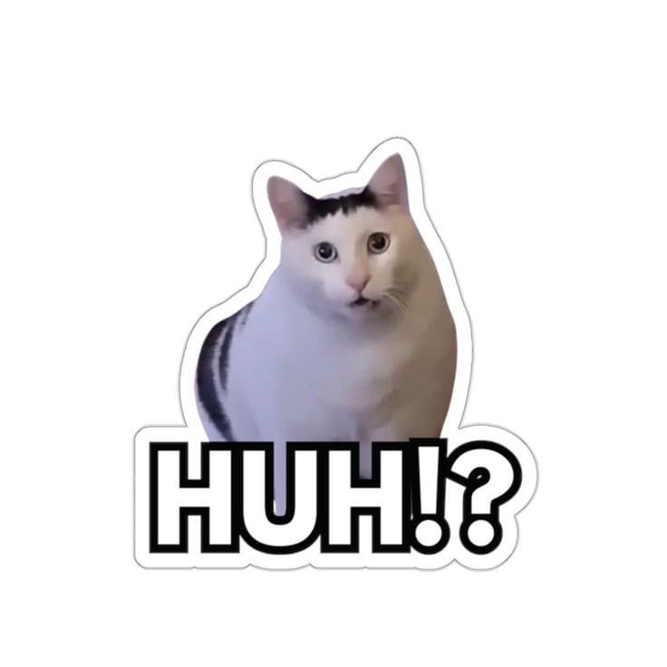 استیکر میم گربه هو _ huh!