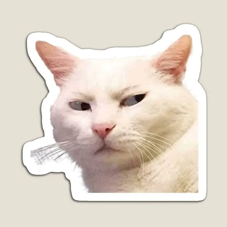 استیکر cat meme 01