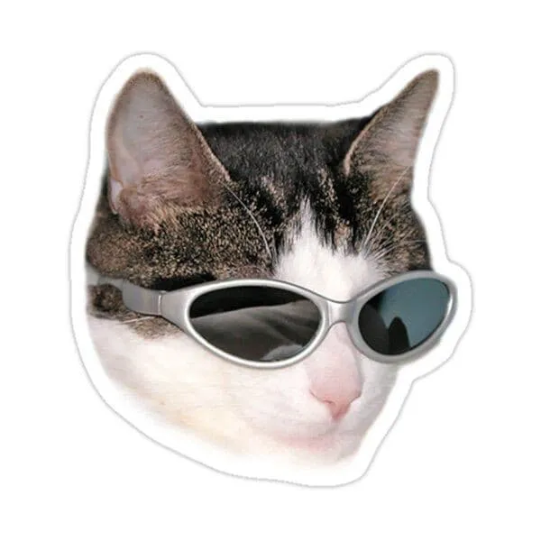 استیکر cat meme02