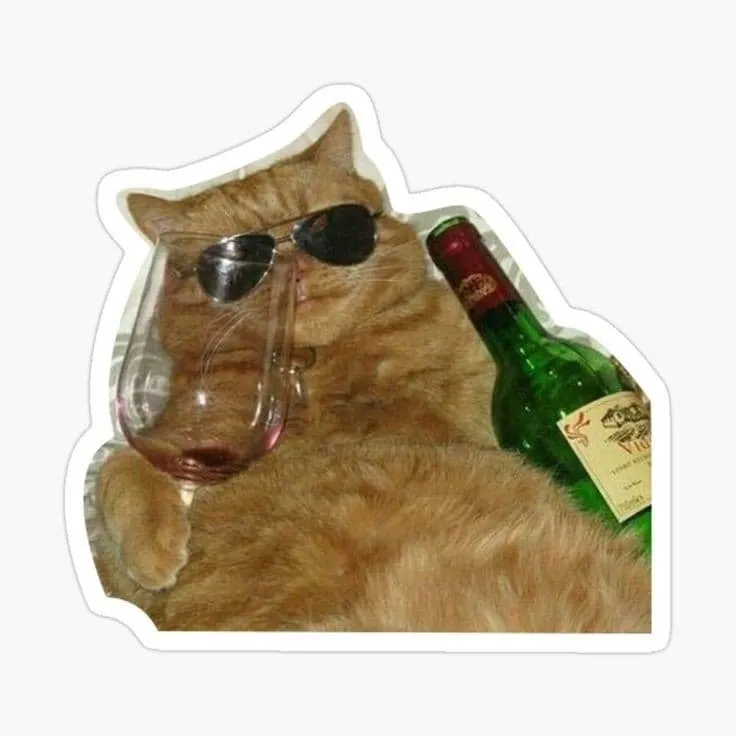 استیکر cat meme 04