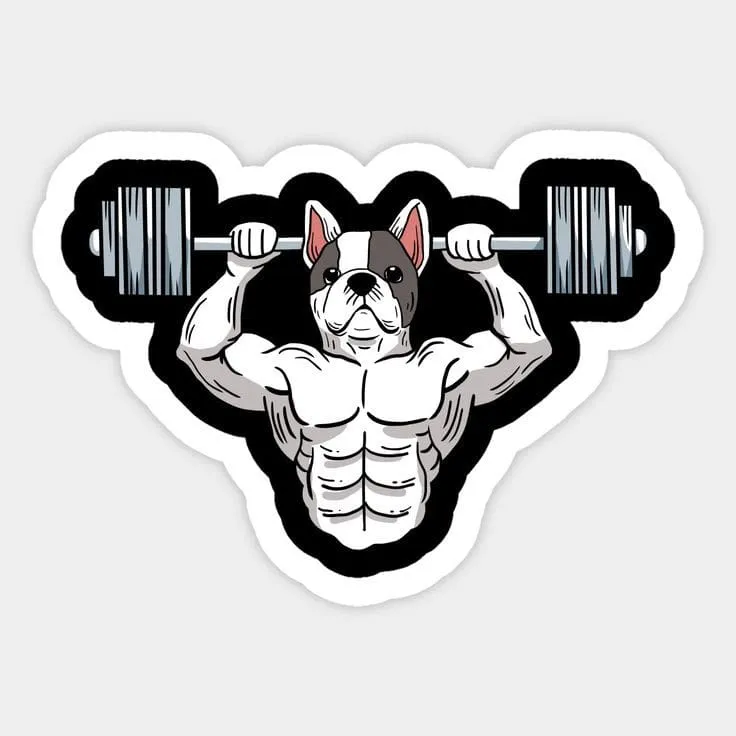 استیکر bodybuilding 04