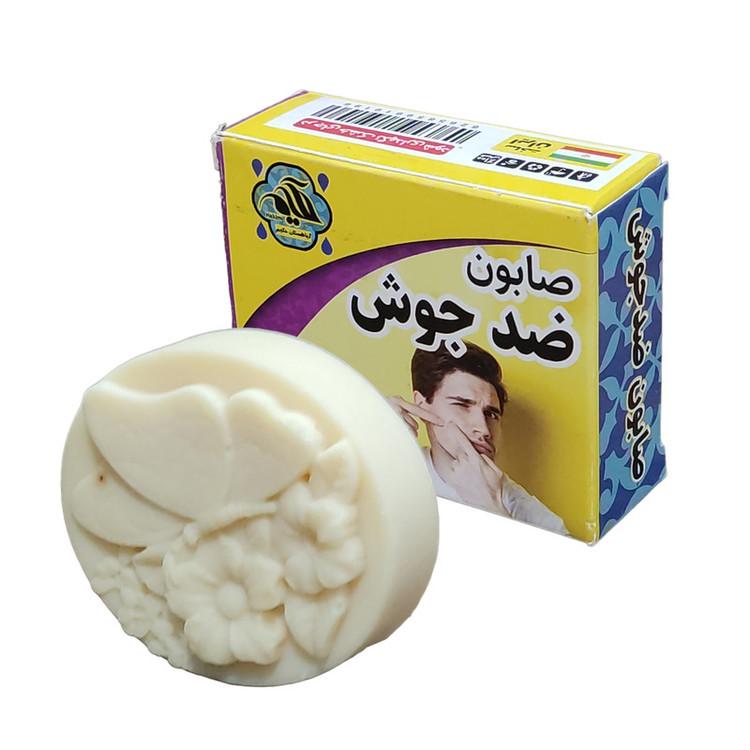 صابون شستشو گیاهستان حکیم مدل ضد جوش وزن 70 گرم بسته 10 عددی