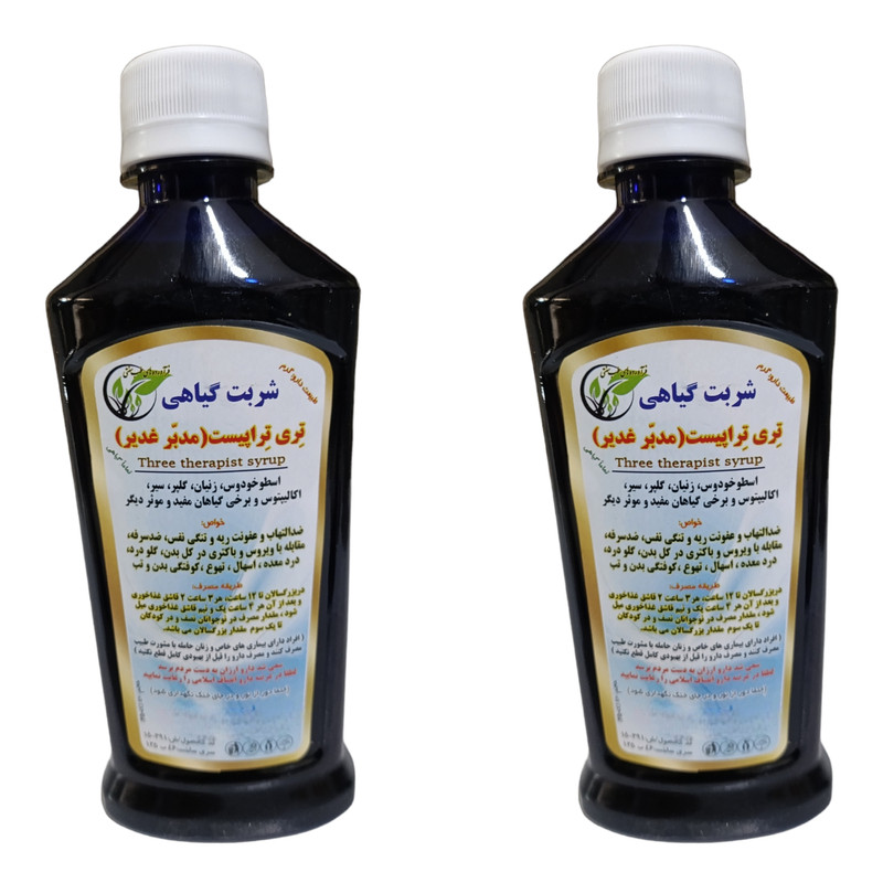 شربت مدبر غدیر جالینوس - 300 میلی لیتر بسته 2 عددی