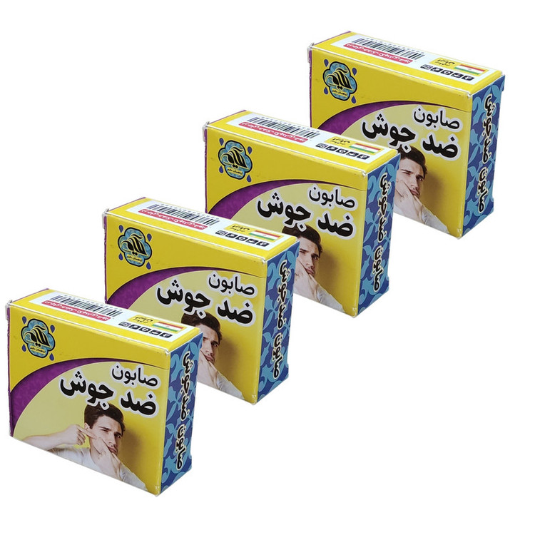صابون شستشو گیاهستان حکیم مدل ضد جوش وزن 70 گرم بسته 4 عددی