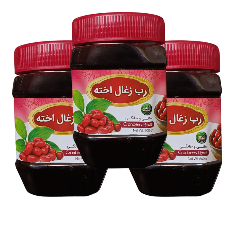 رب زغال اخته سنتی جالینوس - 450 گرم بسته 3 عددی