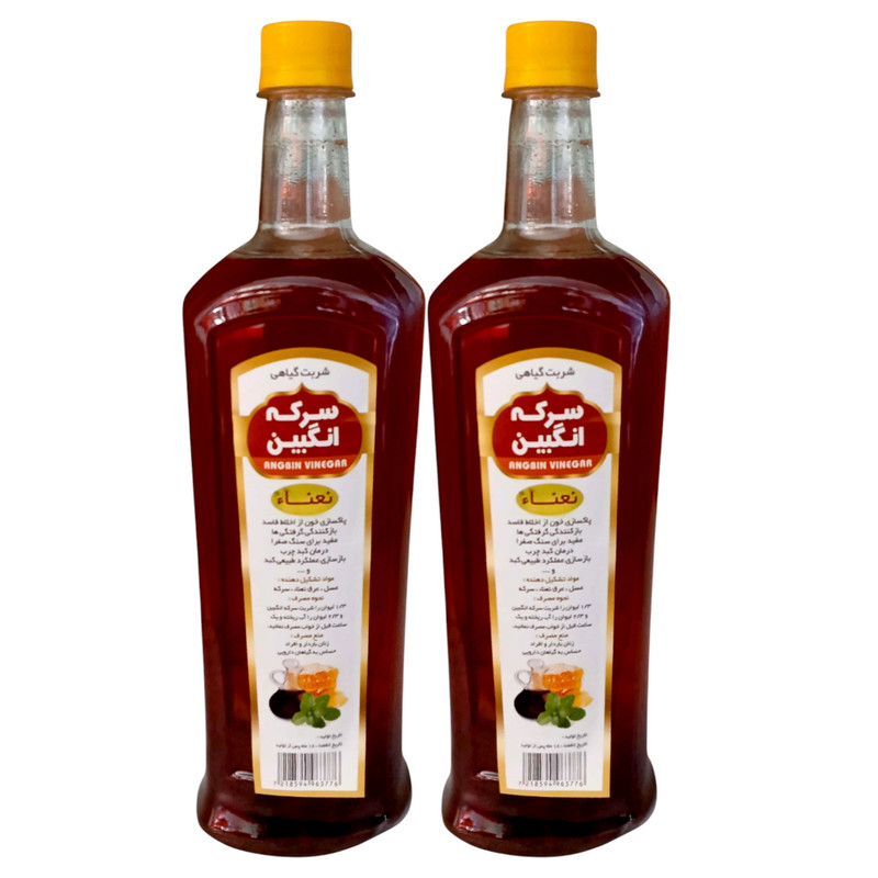 سرکه انگبین نعنایی - 900 میلی لیتر بسته 2 عددی