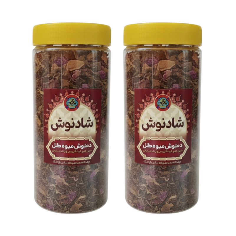 دمنوش میوه ای شادنوش - ۲۰۰ گرم بسته دو عددی