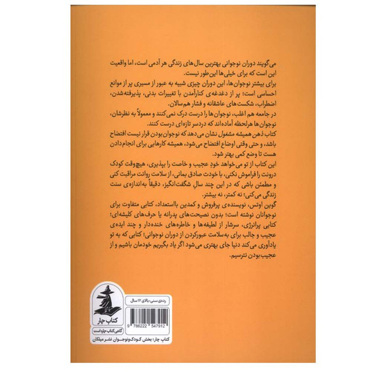 کتاب ذهن همیشه مشغول اثر گوین اوتس ترجمه پورانداخت رمدانی نشر میلکان