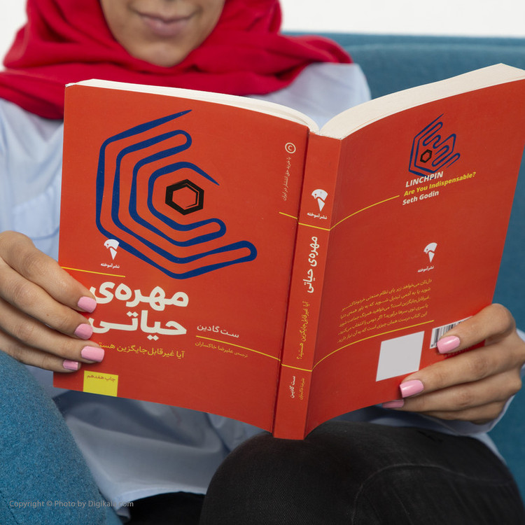 کتاب مهره حیاتی اثر ست گادین انتشارات ویدا