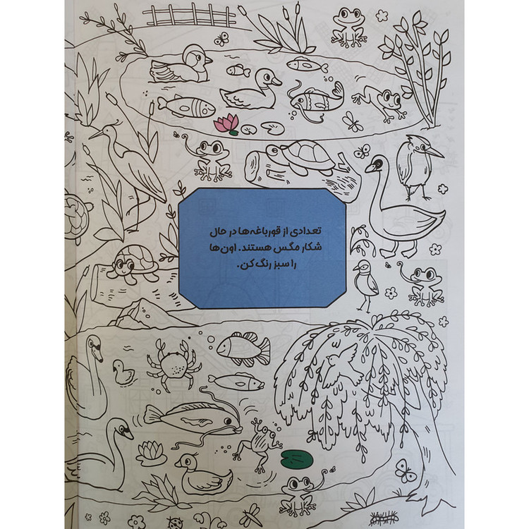 کتاب بگرد و پیدا کن مزرعه رنگارنگ من هوش و رنگ آمیزی اثر پریسا جباری نشر آبشن