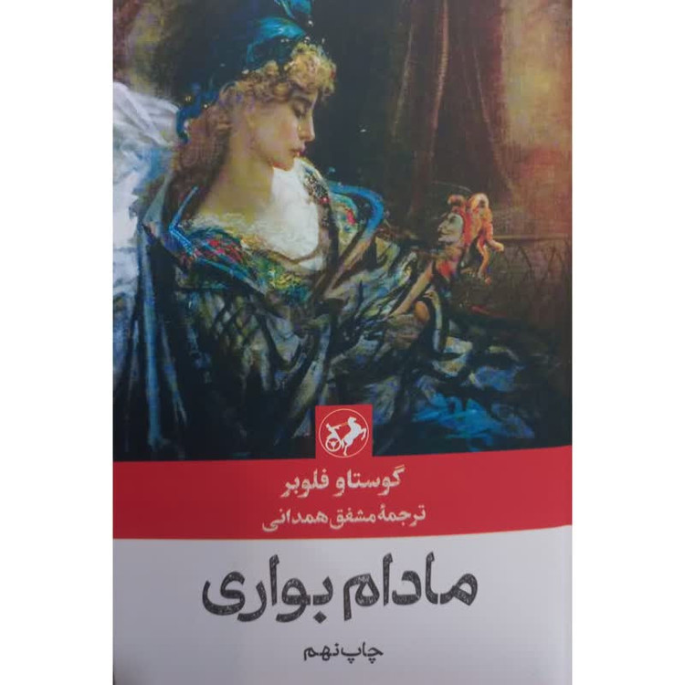 کتاب مادام بواری اثر گوستاو فلوبر نشر امیر کبیر