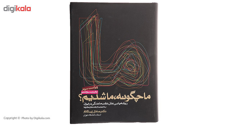 کتاب ما چگونه ما شدیم اثر صادق زیباکلام